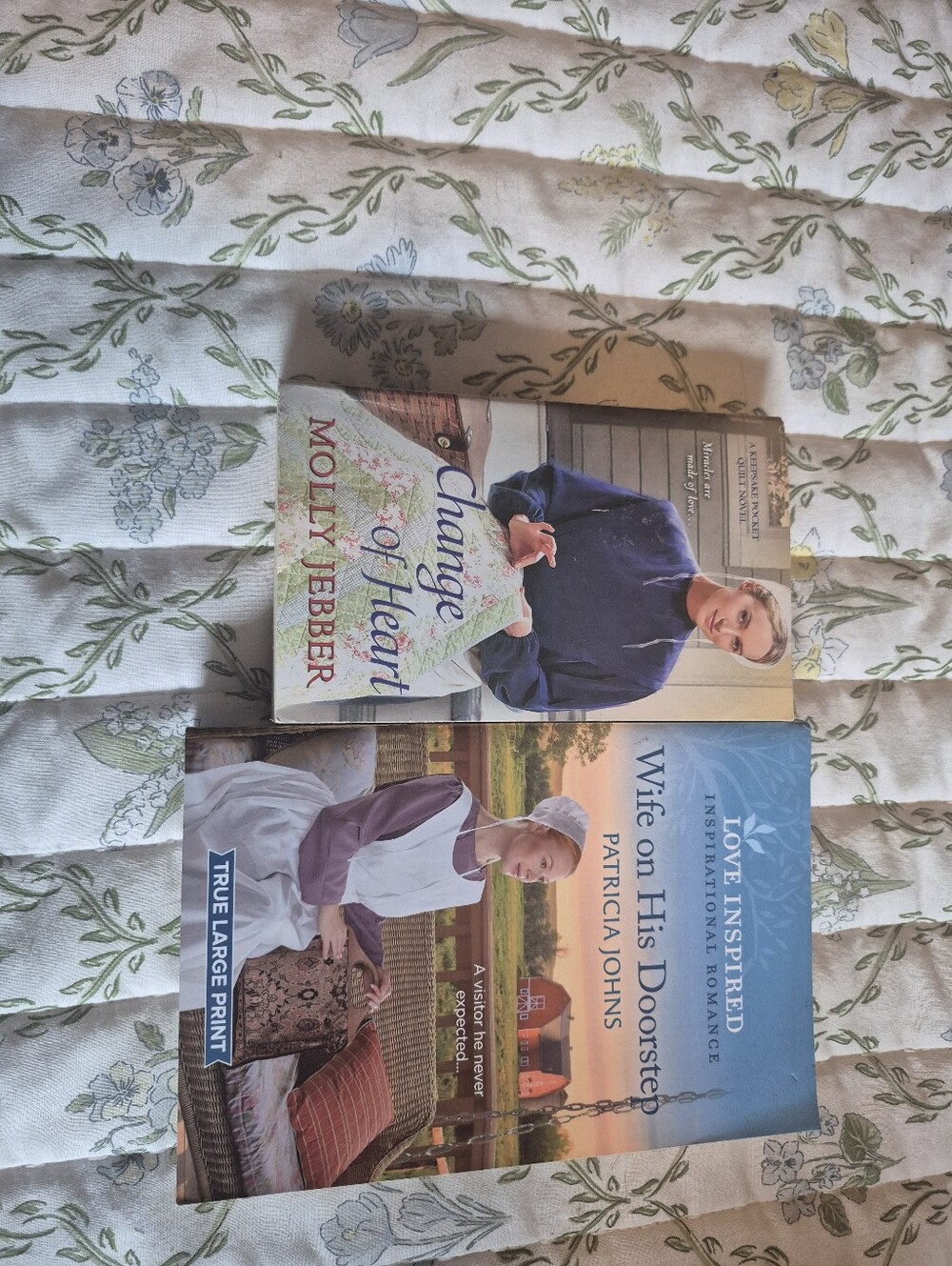 Amish Romance Books.